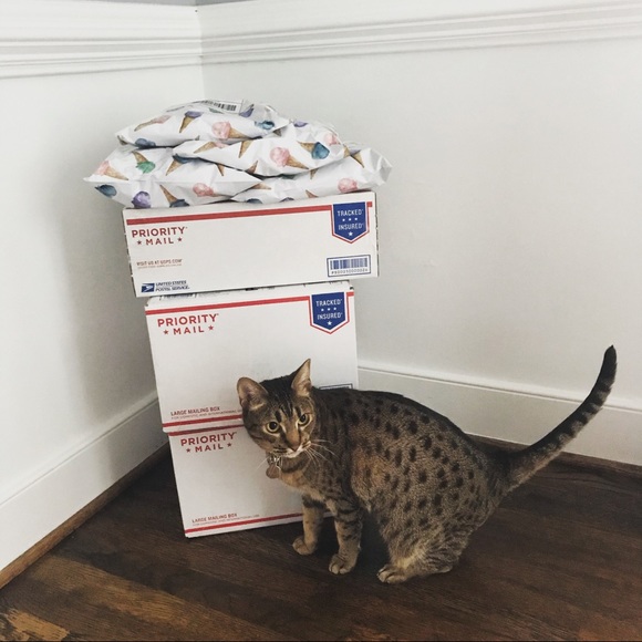 Meet your Posher, Mary - Picture 6 of 7